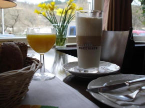 Отель Rhein-Hotel  Андернах